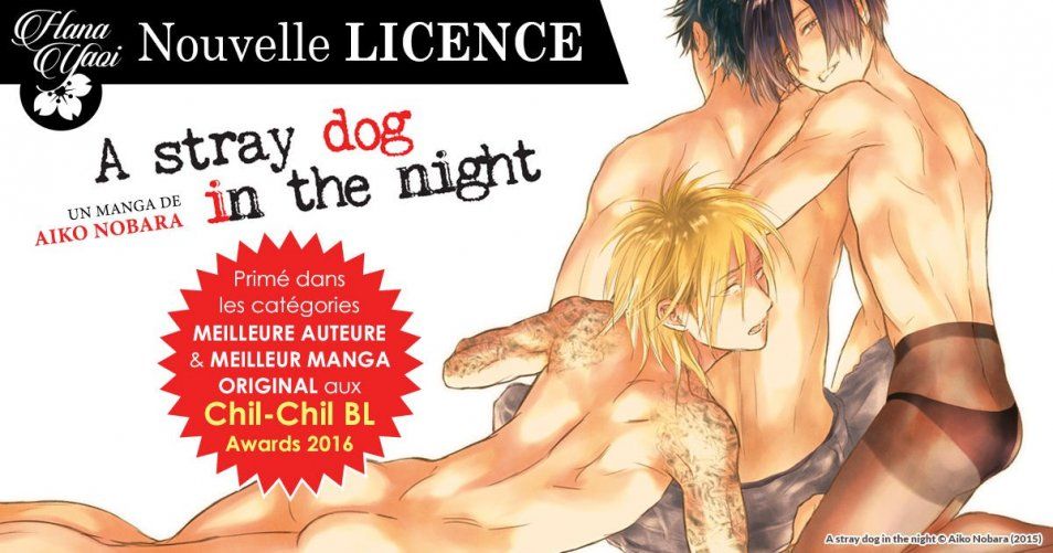 Nouvelle licence Yaoi d'IDP : A stray dog in the night d'Aiko Nobara