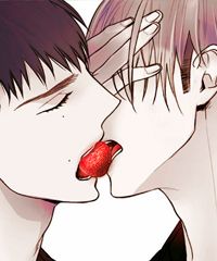 Choco Strawberry Vanilla