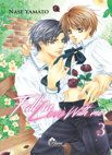 Image 1 : Fall in Love - Tome 03 - Livre (Manga) - Yaoi - Hana Collection