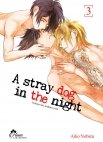 Image 1 : Stray Dog in the night - Tome 03 - Livre (Manga) - Yaoi - Hana Collection