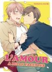 Image 1 : L'amour a mille facettes - Livre (Manga) - Yaoi - Hana Collection