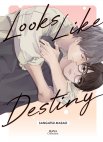 Image 1 : Looks like destiny - Livre (Manga) - Yaoi - Hana Collection