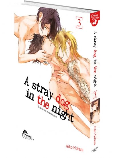 IMAGE 3 : Stray Dog in the night - Tome 03 - Livre (Manga) - Yaoi - Hana Collection