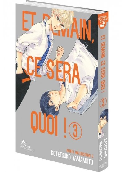 IMAGE 3 : Et demain ce sera quoi ! - Tome 03 - Livre (Manga) - Yaoi - Hana Collection