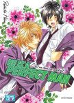 He is a Perfect Man - Tome 02 - Livre (Manga) - Yaoi