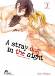 Stray Dog in the night - Tome 03 - Livre (Manga) - Yaoi - Hana Collection