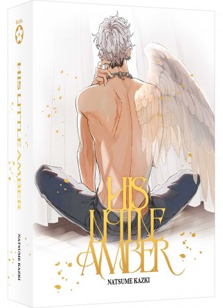 His little Amber - Box collector (Tomes 1 et 2)