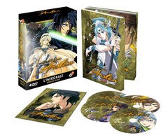 Les chroniques d'Arslan - Intégrale - Coffret DVD + Livret - Collector - VOSTFR/VF