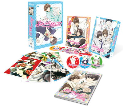 Sekaiichi Hatsukoi - Intégrale + 2 OAV - Edition Collector Limitée - Coffret format A4 Combo [Blu-ray] + DVD