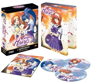 Rumbling Hearts - Intégrale - Coffret DVD - Collector